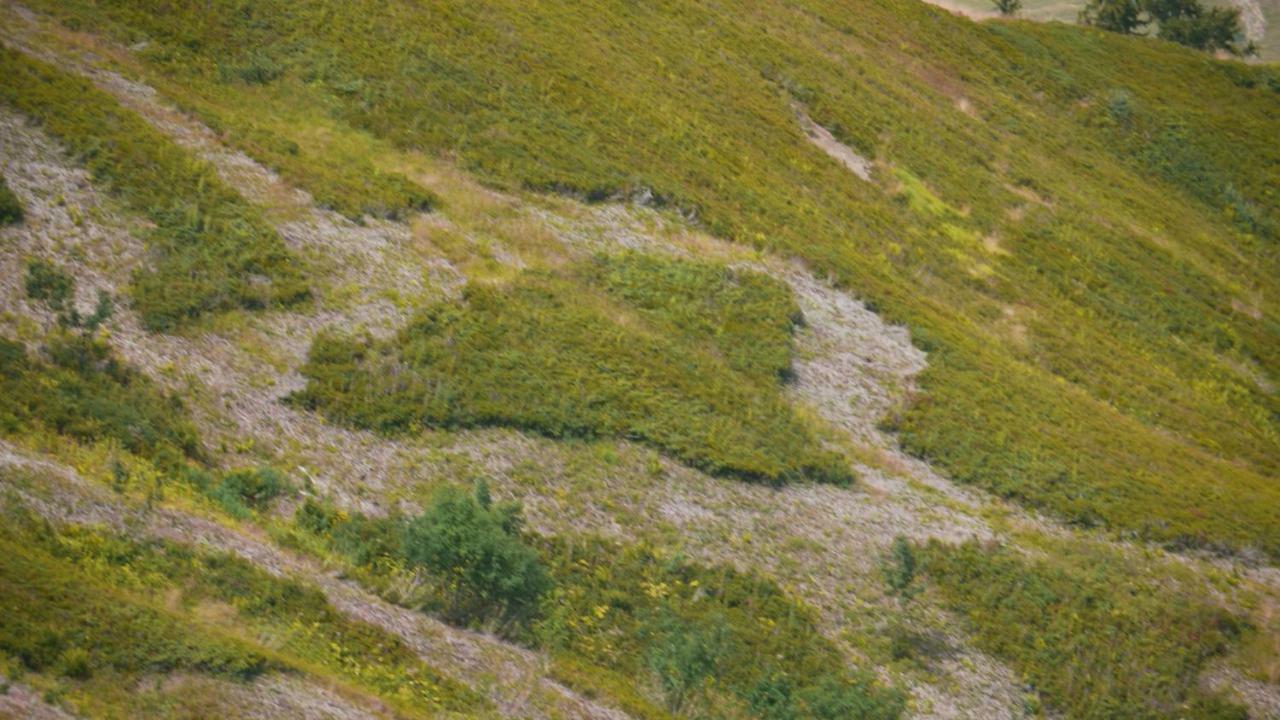 La Grande Cordee - Coeur D'Alpage Διαμέρισμα Combloux Εξωτερικό φωτογραφία